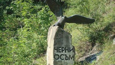 Президентът Румен Радев