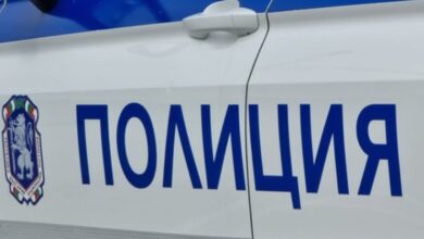 Криминална хроника в област Ловеч: Мащабна кражба на пчели в Дерманци