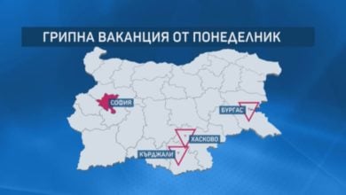 В кои области е обявена грипна ваканция?