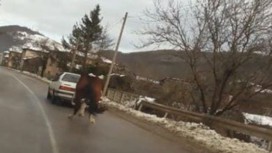 Съставиха акт на гражданин заради грозна сцена с кон