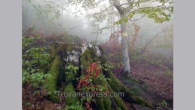 Поредният частично унищожен туристически маршрут в Стара планина -2