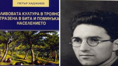 Книга в унисон със сливовата атмосфера в Троян