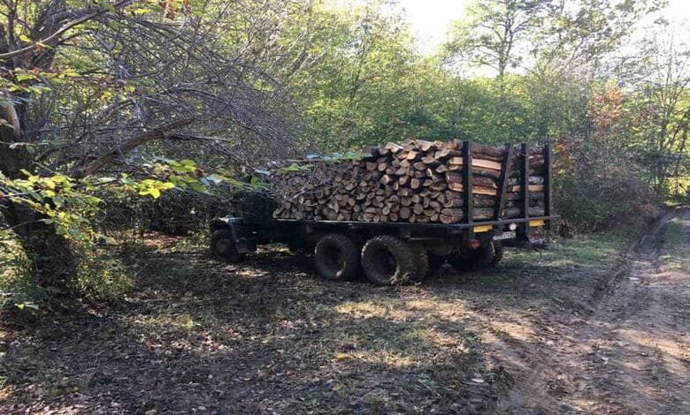 Заловиха нарушител, маркирал дърва с преотстъпена горска марка