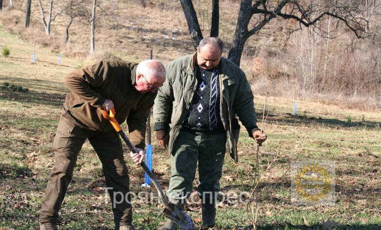 Изгражда се нов кът за отдих - парк Турлата