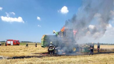 Обявена е "Восъчна зрялост" на житните култури в областта