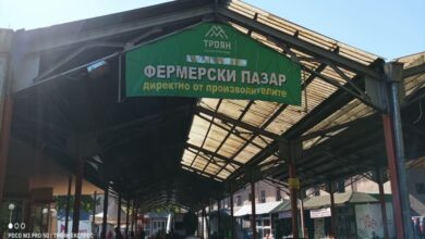 Естетизиране на облика на Централен Общински пазар Троян