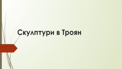 Радостин от СУ „Васил Левски“ - Троян представя забележителности в Троян