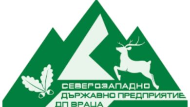 Над 400 обекти за добив за дървесина са проверени през февруари