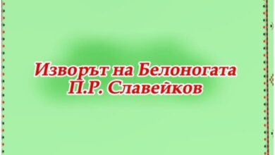 „Изворът на Белоногата“