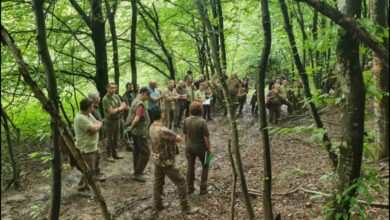 Съвещание по стопансиване на горите в СЗДП бе проведено в Борима