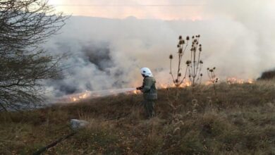 Заповед за забрана палене на стърнища и треви в Троян