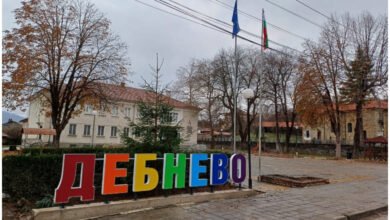 Населението на село Дебнево се радва на нова жива елха за украсяване