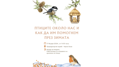 Детска работилница: Птиците около нас и как да им помогнем през зимата