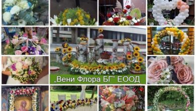 Вени Флора