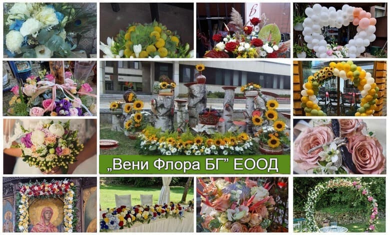 Вени Флора