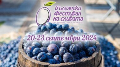 Покана за участие в 31-то издание на Български фестивал на сливата, Троян – 2024 г.