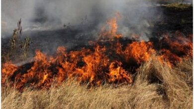 Защитаваме природата заедно!