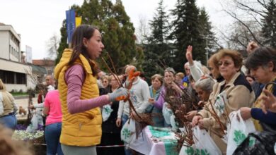 Жителите на Троян получиха 12,000 дръвчета от Гората.бг