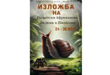 Изложба на гигантски охлюви и екзотични насекоми в Природонаучния музей