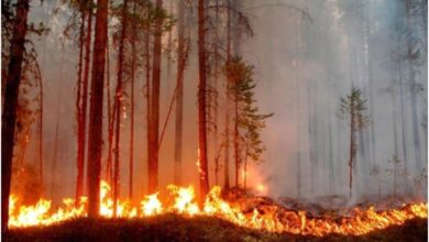 В Ловешка област са възникнали 30 пожара за последното денонощие