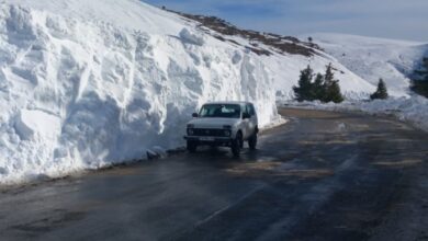 Движението на превозни средства с тегло над 12 тона през проходите „Троянски“ и Шипково - Рибарица се възстановява