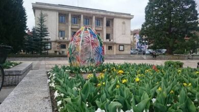 Благотворителен Концерт в Подкрепа на "Тревненска Школа"