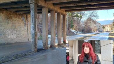 Трагична загуба и жажда за правда: Майката на Моника се обръща към обществеността