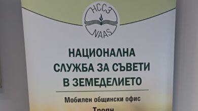 # 22904 Георги Ненов - 501349/310 / KBS - 1 бр.