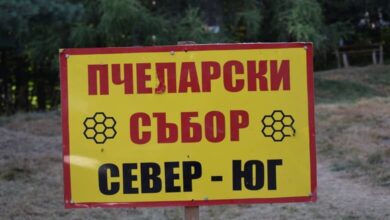 61-ва Национална пчеларска среща "Север-Юг" събира пчелари и любители на Беклемето