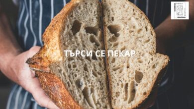 🌟 Шарена Фабрика – новото международно училище за кулинарни изкуства и занаятчийски умения, отваря врати през есента на 2026 г. в живописното с. Голяма Желязна, България! 🇧🇬 Търсим вдъхновен и опитен Пекар/Хлебар да се присъедини към нашия преподавателски екип. Ако сте страстен професионалист, готов да сподели знанията си, не пропускайте тази възможност! 🍞✨ 🔗 Прочетете повече: https://troyanexpress.com/2025/07/tarsim-prepodavatel-po-pekarstvo-i-hleba/