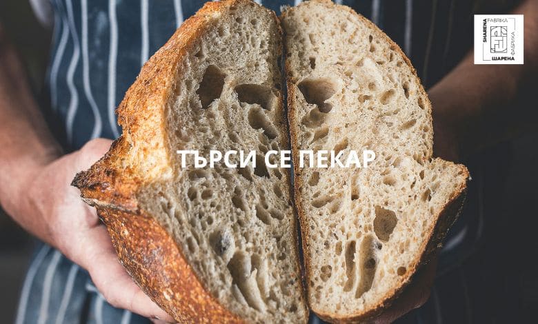 🌟 Шарена Фабрика – новото международно училище за кулинарни изкуства и занаятчийски умения, отваря врати през есента на 2026 г. в живописното с. Голяма Желязна, България! 🇧🇬 Търсим вдъхновен и опитен Пекар/Хлебар да се присъедини към нашия преподавателски екип. Ако сте страстен професионалист, готов да сподели знанията си, не пропускайте тази възможност! 🍞✨ 🔗 Прочетете повече: https://troyanexpress.com/2025/07/tarsim-prepodavatel-po-pekarstvo-i-hleba/