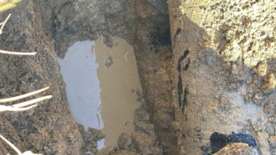 Абсурдът с водата в Орешак: Газят в блато, докато други градове жадуват