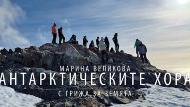Изложба на артистката Марина Великова „Антарктическите хора“ в Троян