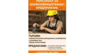 Дървообработващо предприятие „Гадевски“ набира персонал: Постоянен договор и подсигурен транспорт