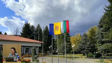 Бъдещето на Троянската шарка, творчески обмен с Китай