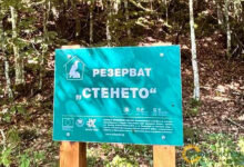 Проверка в резерват „Стенето“ след сигнал за иманярска дейност