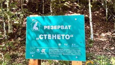 Проверка в резерват „Стенето“ след сигнал за иманярска дейност