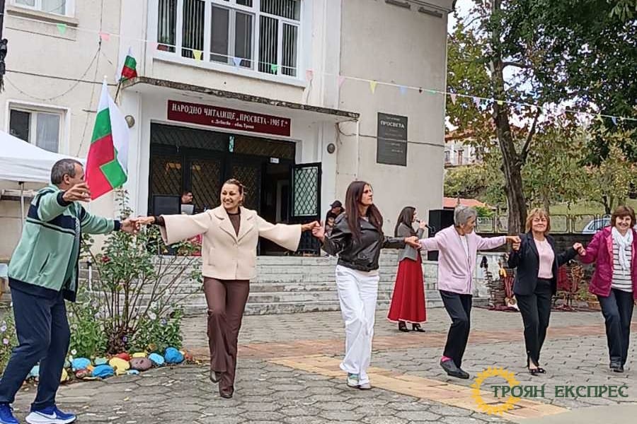 Ново начало и добри дела в Дебнево: Кметът Румяна Куш споделя за успешните проекти и строежа на новата чешма